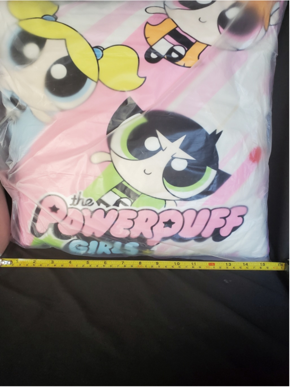Powerpuff Girls Decorative Accent Pillow 16x16